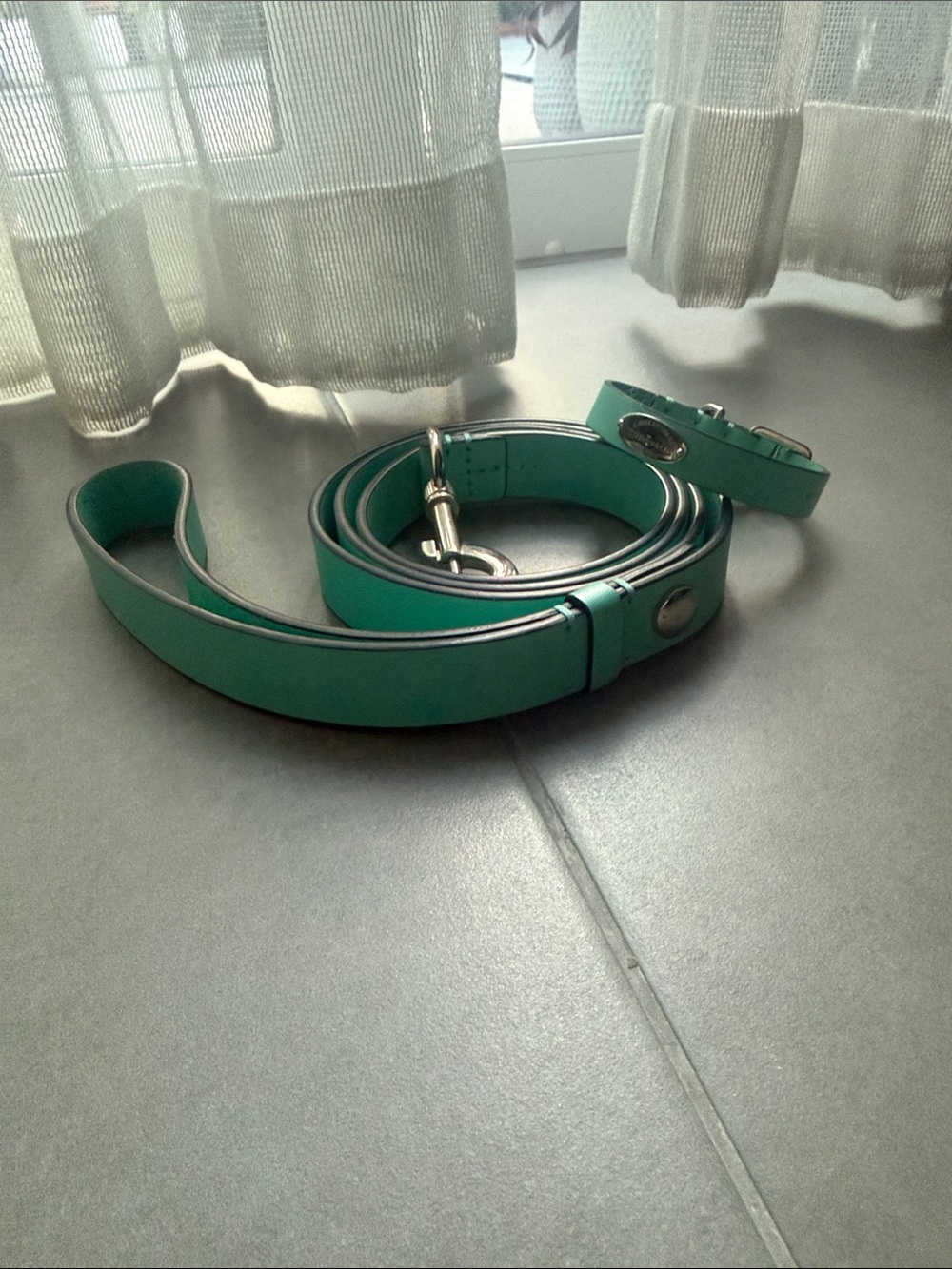 Tiffany Leather Dog Leash and Collar Set. XS colar size.
